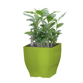 G21 Cube mini virágcserép zöld, 13 cm "külső burkolat"