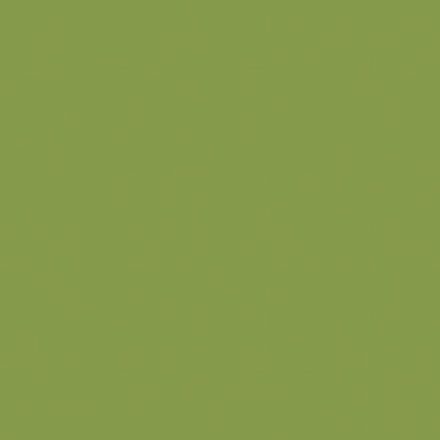 Kiwi Zöld laminált bútorlap (U626)