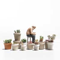 Virágcserép, kaspó